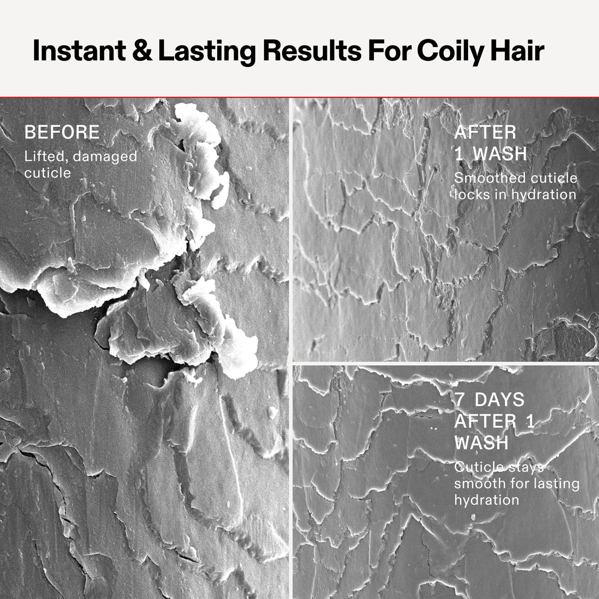 No.5CURL BOND SHAPER? HYDRATING CURL CONDITIONER LITER